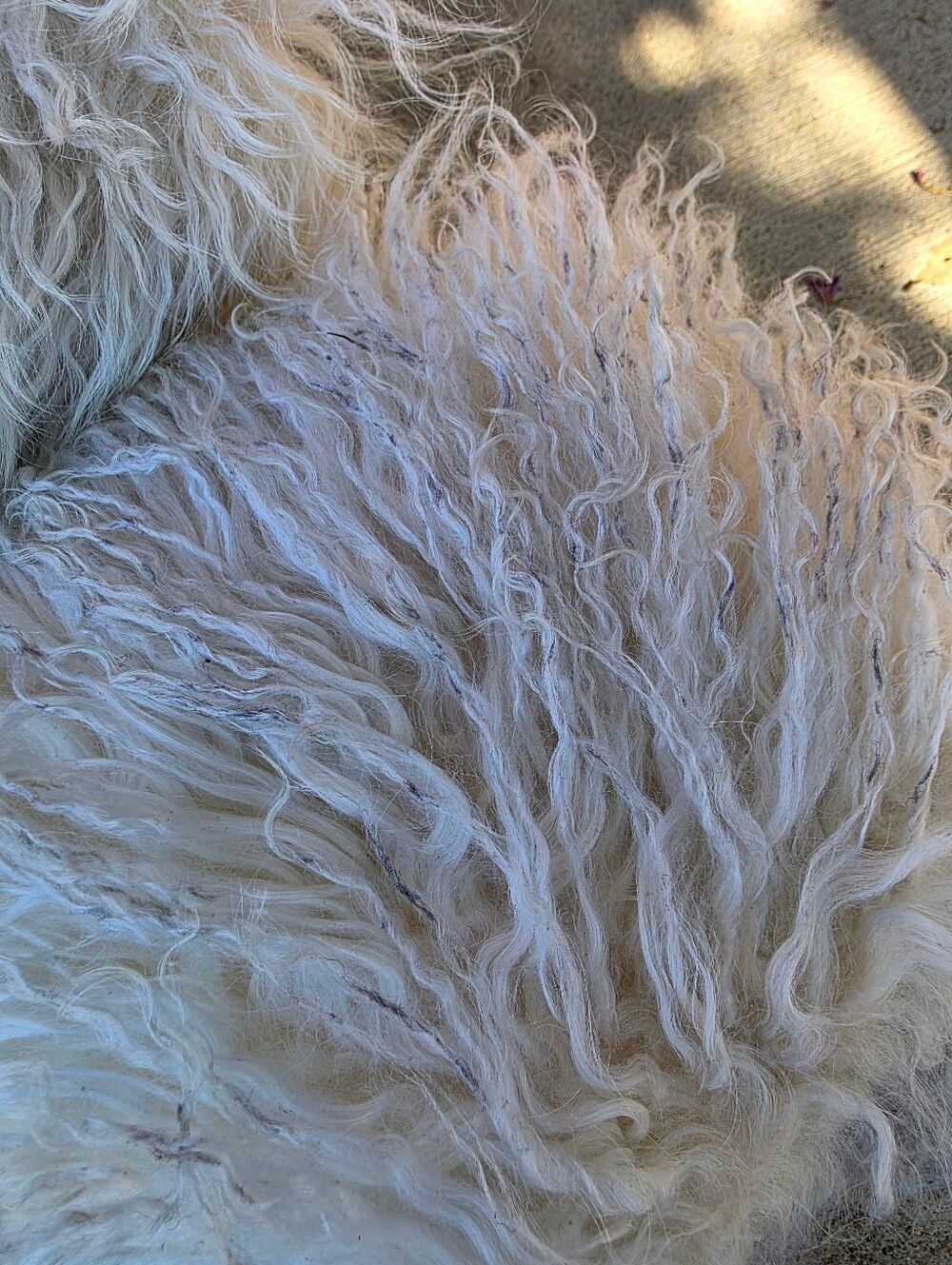 BearPaw Boetis ll Real White Lamb Fur Wool Lined Boots Womens Size 7 - Picture 7 of 15